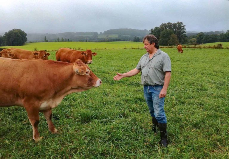Élevage bovin bio et équitable en France