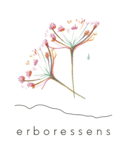 Logo Erboressens