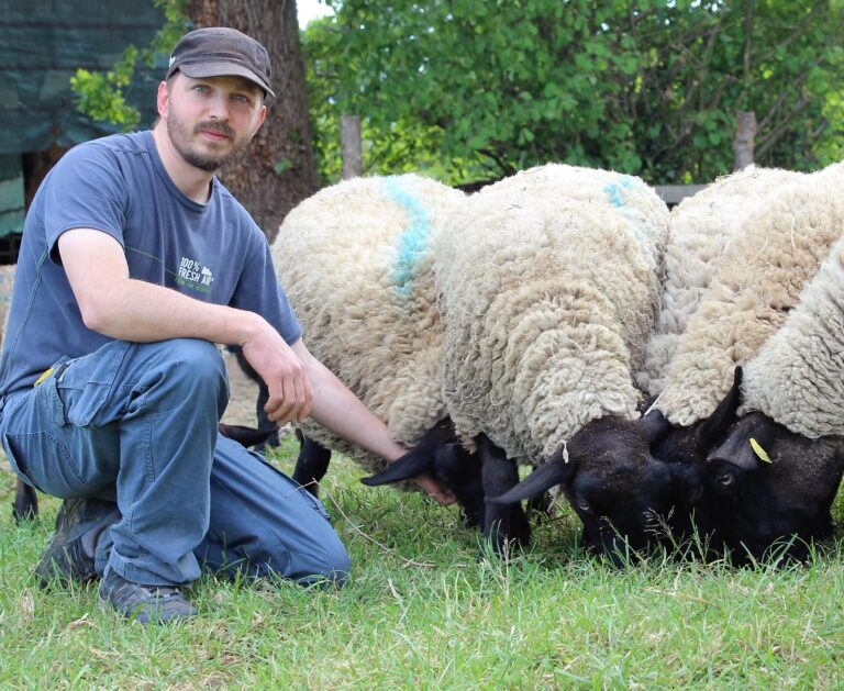 Salon de l'Agriculture : témoignages de producteurs engagés - Thomas Raiffé, éleveur de brebis et de vaches bio