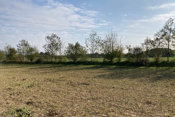 BIOLAIT Haie plantée